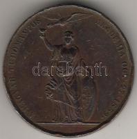 1859. "Magyar Tud. Akadémia - Kazinczy F."  nagyalakú bronzplakett T:4