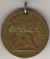 1896. "Milleneum...Ferenc József" bronz T:3