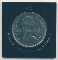 Nagy-Britannia 1981. 25p "Lady Diana és Károly herceg" eredeti dísz-plasztiktokban T:1
Gre...