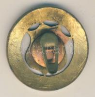 ~1910. "I. Pozsonyi Kerékpár-Egyesület" zománcozott, aranyozott gomblyukjelvény T:1-(kis z...
