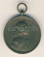 1938. "Felvidék felszabadítása - II. Rákóczi Ferenc" Br emlékérem T:2 /
Hungary 1938. &quo...