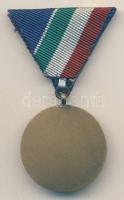 1954. "Árvízvédelemért Érem" patinázott Br érem mellszalaggal T:1