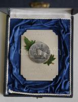 1970. "Felszabadulásunk Emlékére" a Szabolcs-Szatmár Megyei Tanács emlékplakett dísztokban T:2