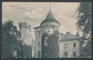 Nagykároly Károlyi castle