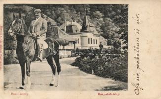 Borpatak-telep, Pokol castle, horse riding