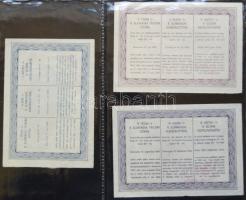 Albumba rendezett nagyon szép szükségpénz és sorsjegy/csekk gyűjtemény, összesen 123db. A gyűjtemény...