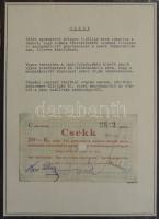 Albumba rendezett nagyon szép szükségpénz és sorsjegy/csekk gyűjtemény, összesen 123db. A gyűjtemény...