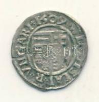 1509KG Denár Ag II.Ulászló (ÉH.646.c) T:3 apró repedés