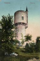 Komárom water tower
