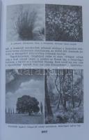 1939 Az ezeréves Magyarország, 1031 mélynyomású fényképpel és képpel, két színes térképmelléklettel ...