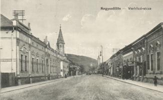 Nagyszőllős Werbőczi street