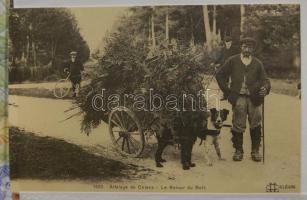 Munkakutyák gyűjtemény, 36 képeslap albumban / Working dogs, 36 cards in album
