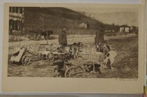 Munkakutyák gyűjtemény, 36 képeslap albumban / Working dogs, 36 cards in album