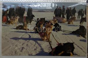 Munkakutyák gyűjtemény, 36 képeslap albumban / Working dogs, 36 cards in album