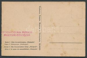 Brzezinki Auschwitz-Birkenau concentration camp panoramacard (fl)