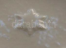 XIX. sz Rendkívül finom, kézzel festett porcelán teáscsészék csillag/nap jelzéssel. (Egyik csészén r...