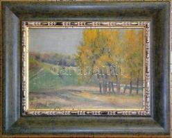 Eckhardt 1906 jelzéssel: Tájkép. Olaj, farost, 40x30 cm Igényes fa keretben