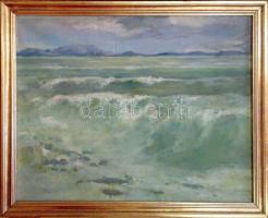 Nádasdi Sárközy Elemér (1900-1988): Háborgó Balaton. Olaj-vászon, jelzett, keretben 40x55 cm