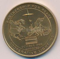 Újdörögd 1995. Nemzetközi Béke Konferencia Br emlékérem eredetik tokban T:1