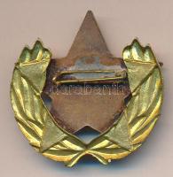 ~1960. A Belkereskedelem Kiváló Dolgozója eredeti dísztokban T:1-