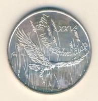 1988. 500Ft Ag "Világ vadvédelmi alap" T:BU