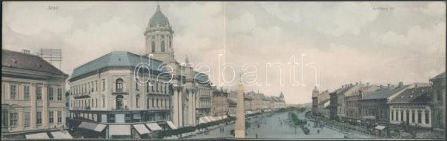 Arad Andrássy square panoramacard