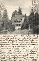 Lublófürdő Villa Iris (b)