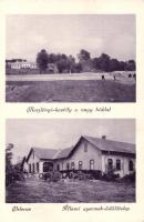 Velence Meszlényi-kastély, gyermeküdülő-telep