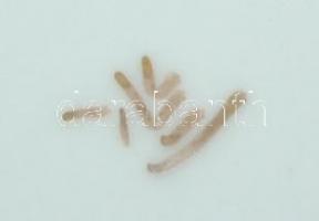 4db nagy és 4db kis méretű porcelán fűszeres fiók apró sérülésekkel + 3db kínai porcelán kistányér