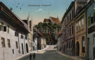 Segesvár castle hill (EB)