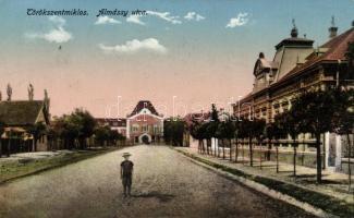 Törökszentmiklós Almássy utca