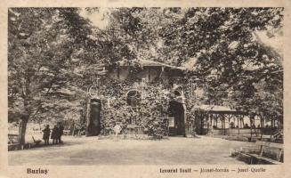 Buziás József-forrás