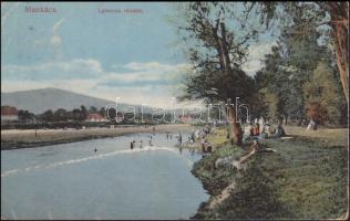 Munkács Latorca riverside (fa)