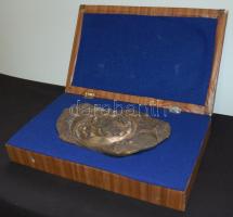 Asszonyi Tamás (1942-): Budapesti Úttörő Elnökség bronz kisplasztika díszdobozban 20x12cm