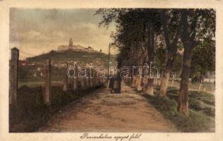 Pannonhalma nyugat felől