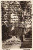 Parádfürdő Vadaskerti út