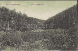 Modor-Harmónia Dolina forest
