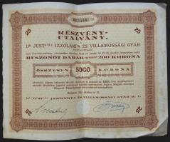 1923. "Dr Just-féle Izzólámpa és Villamossági Gyár Rt." részvény utalványa 5000K-ról (2x)