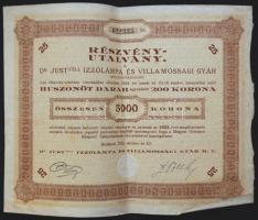 1923. "Dr Just-féle Izzólámpa és Villamossági Gyár Rt." részvény utalványa 5000K-ról (2x)