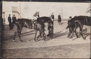 Budapest galopp pálya photo