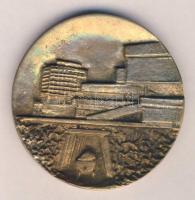 1972. "Ötven Éve Város Salgótarján" Br emlékplakett (d=62mm)