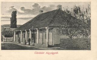 Algyógy house