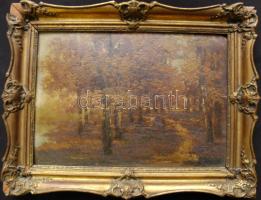 Lozso János?: Táj. Olaj, karton, jelzett. Keretben 43x35 cm