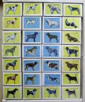 Kutyák 28 doboz gyufát tartalmazó gyűjtődoboz / Dogs set of matches