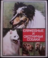 Kutyák 28 doboz gyufát tartalmazó gyűjtődoboz / Dogs set of matches