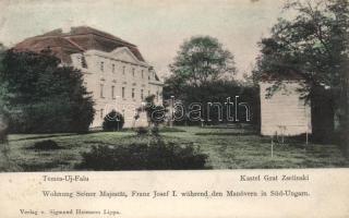 Temesújfalu Zselinski castle