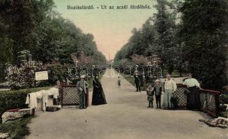 Buziásfürdő spa promenade