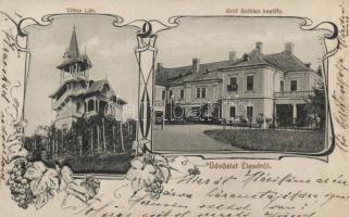 Élesd Villa Vilma and Bethlen castle
