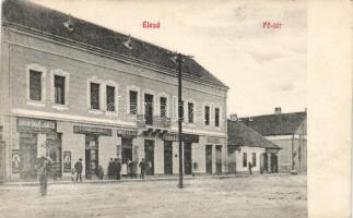Élesd main square, shops