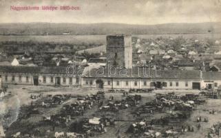 Nagyszalonta in 1885 (fl)